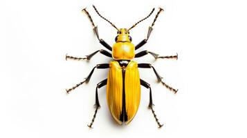 AI generated Photo of Long-Horned Beetle isolated on white background. Generative AI