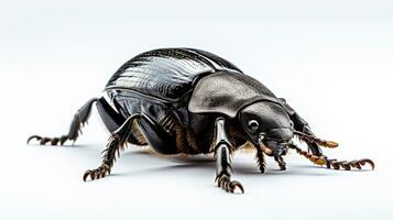 AI generated Photo of Dung Beetle isolated on white background. Generative AI