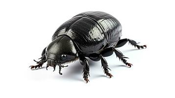 AI generated Photo of Dung Beetle isolated on white background. Generative AI
