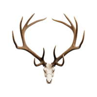 AI generated Antlers isolated on transparent background png