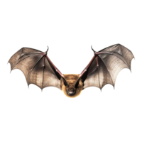 ai généré en volant chauve souris isolé sur transparent Contexte png