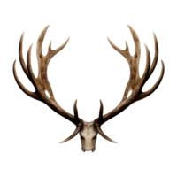 AI generated Antlers isolated on transparent background png