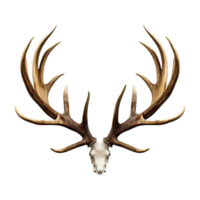 AI generated Antlers isolated on transparent background png