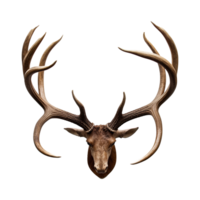 AI generated Antlers isolated on transparent background png