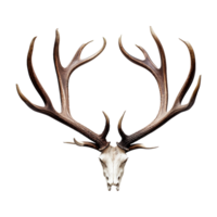 AI generated Antlers isolated on transparent background png