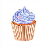 Cupcake decorated with blue whipped cream and meringue. Baked meringue cookies or meringa. Muffin in paper wrapper. Mousse. Fruity taste. Watercolor illustration. For package, menu vector