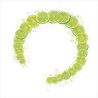 Semicircle of lime wedges. Citrus slices in juice splash. Fruit swirl, texture, colored dots. vector