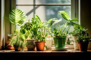 AI generated Green indoor plants in brown clay pots on an old wooden window. Ficus, monstera and liana. Close-up, copy paste photo