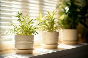 AI generated Various potted plants in modern white pots on the windowsill in a modern office. Growing and caring for indoor plants photo