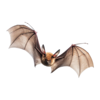 ai généré en volant chauve souris isolé sur transparent Contexte png