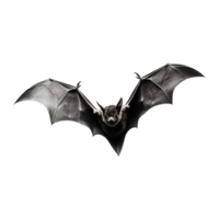 ai généré en volant chauve souris isolé sur transparent Contexte png