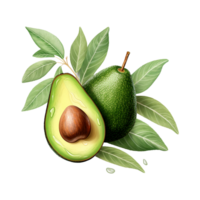 ai generado aguacate Fruta aislado en transparente antecedentes png