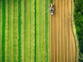 tractor siega agrícola separar campo, aéreo zumbido ver foto