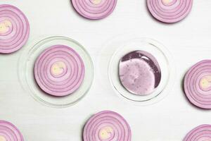 Onion Slices. Beauty treatments and body care with onion. Cream and onion pieces on a white background, beauty. photo