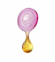 Onion slice oil drop, Onion Slice, Onion Oil, Oil Drop isolated in white background photo