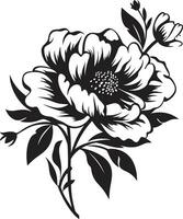 grafito floración conjunto hecho a mano vector logos noir pétalo ensueño negro vector floral íconos