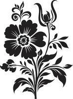 Intriguing Botanical Illustrations Iconic Vector Harmonious Hand Drawn Compositions Black Vector