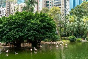 Hong Kong,March 27, 2019-View of the Hong Kong public park during a cloudy day photo
