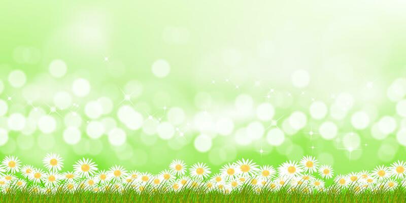 Spring Background Meadow Landscape,White Daisy Flowers on Blurred Bokeh Morning Sunlight on Green color.Vector Summer field with defocus bokeh bright light on with wildflowers border for Easter banner
