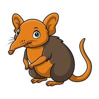 Cute elephant shrew cartoon on white background vector