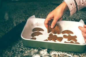 warmth of holiday season radiates from a kitchen where a mom and son prepare Christmas gingerbread photo