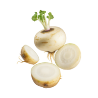 AI generated Floating White Turnip With A Purple Top, Without Shadow, Isolated Background png