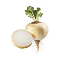 AI generated Floating White Turnip With A Purple Top, Without Shadow, Isolated Background png