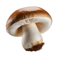 ai généré flottant blanc champignon avec une marron casquette, sans pour autant ombre, isolé Contexte png