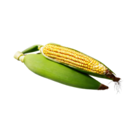 AI generated Bunch Of Yellow Corn With Green Skin, Without Shadow, Isolated Background png