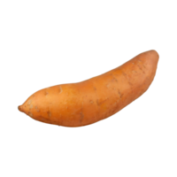 ai gegenereerd drijvend oranje zoet aardappel met een bruin huid png