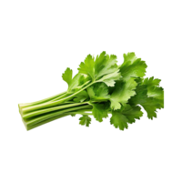 AI generated Bunch Of Fresh Green Leaf Of Celery With Water Drop, Isolated Background png