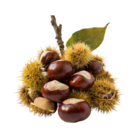 AI generated Bunch Of Brown Chestnut With A Spiky Shell, Blank Isolated Background png