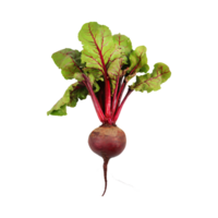 AI generated Red Beetroot With A Green Top, Without Shadow, Isolated Background png