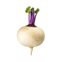 AI generated Floating White Turnip With A Purple Top, Without Shadow, Isolated Background png