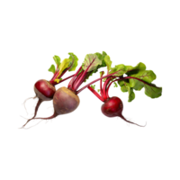 AI generated Red Beetroot With A Green Top, Without Shadow, Isolated Background png