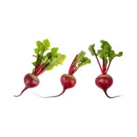 AI generated Red Beetroot With A Green Top, Without Shadow, Isolated Background png