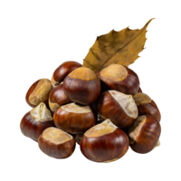 AI generated Bunch Of Brown Chestnut With A Spiky Shell, Blank Isolated Background png