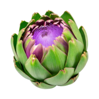 AI generated Floating Green Artichoke With A Purple Center png