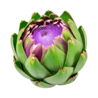 ai généré flottant vert artichaut avec une violet centre png