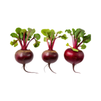 AI generated Red Beetroot With A Green Top, Without Shadow, Isolated Background png
