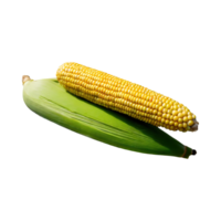 AI generated Floating Bunch Of Yellow Corn With Green Skin, Isolated Background png