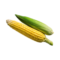 AI generated Floating Bunch Of Yellow Corn With Green Skin, Isolated Background png