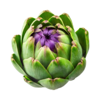 AI generated Floating Green Artichoke With A Purple Center png