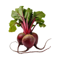 AI generated Red Beetroot With A Green Top, Without Shadow, Isolated Background png