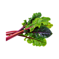 AI generated Bunches Of Green And Purple Swiss Chard With A Leafy Texture, Isolated Transparent Background png