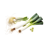 AI generated Green And White Leek With Roots, Without Shadow, Isolated Transparent Background png