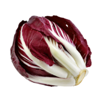 AI generated Radicchio With A Bitter Taste, Without Shadow, Isolated Transparent Background png