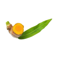 ai generado flotante de amarillo y naranja cúrcuma con rebanado, aislado transparente antecedentes png