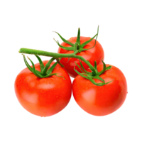 ai generiert schwebend von Tomaten mit ein Grün Stengel, ohne Schatten, isoliert transparent Hintergrund png