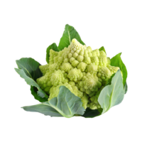 AI generated Green And White Cauliflower With A Flower-Like Shape, Isolated Transparent Background png
